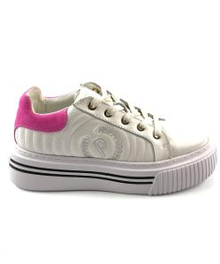 pollini