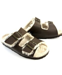 Alternative view of CAMEL ACTIVE