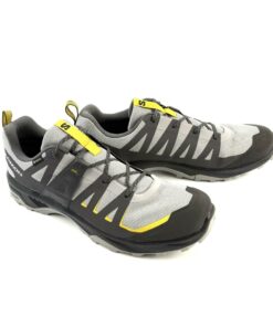 Alternative view of SALOMON