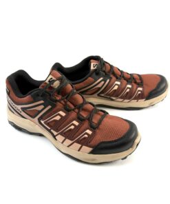 Alternative view of SALOMON