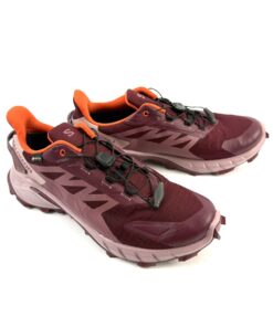 Alternative view of SALOMON