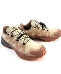 Alternative view of SALOMON