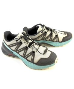 Alternative view of SALOMON