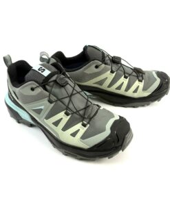 Alternative view of SALOMON