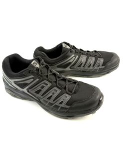 Alternative view of SALOMON