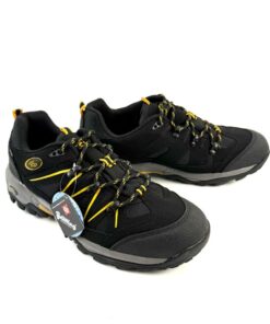 Alternative view of BRUTTING