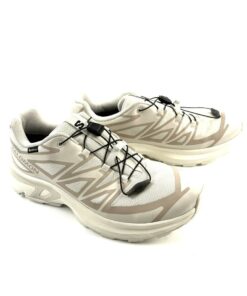 Alternative view of SALOMON