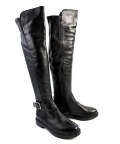 Alternative view of FIRENZE