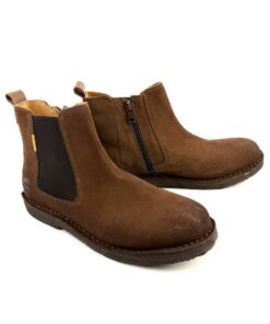 Alternative view of CAMEL ACTIVE