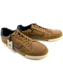 Alternative view of CAMEL ACTIVE