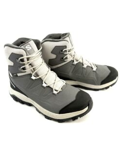 Alternative view of SALOMON