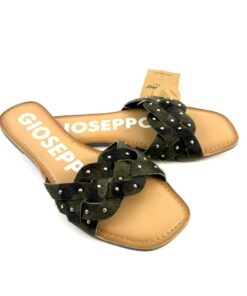 Alternative view of GIOSEPPO
