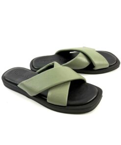 Alternative view of TAMARIS