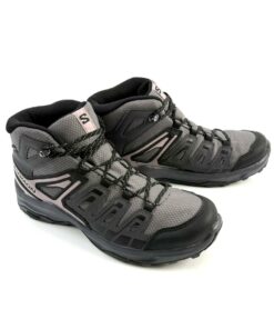 Alternative view of SALOMON