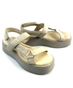 Alternative view of VAGABOND