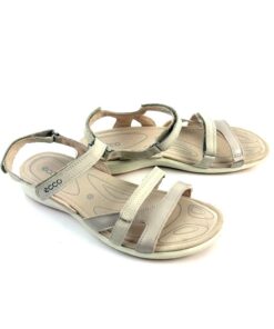 Alternative view of ECCO