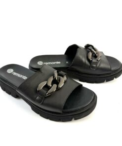 Alternative view of REMONTE