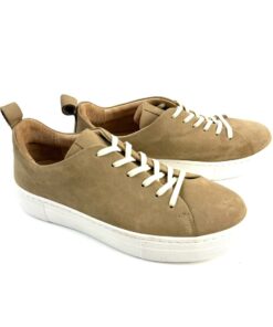 Alternative view of ROBERTSON