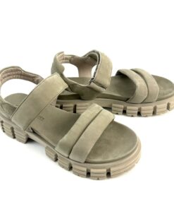 Alternative view of KENNEL & SCHMENGER