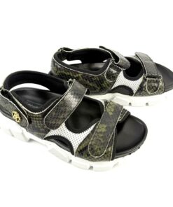 Alternative view of ROBERTO CAVALLI