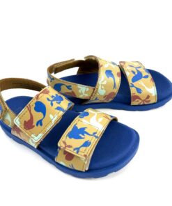 Alternative view of CAMPER