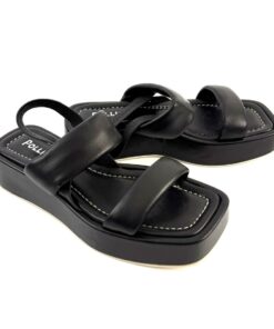 Alternative view of POLLINI