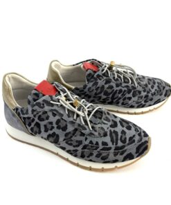 Alternative view of VIA VIA VAI