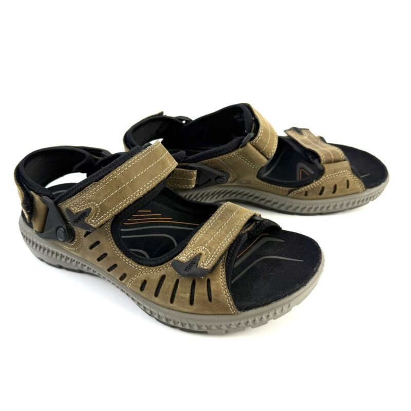 ECCO - Image 2
