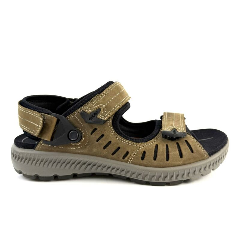 ECCO - Image 5