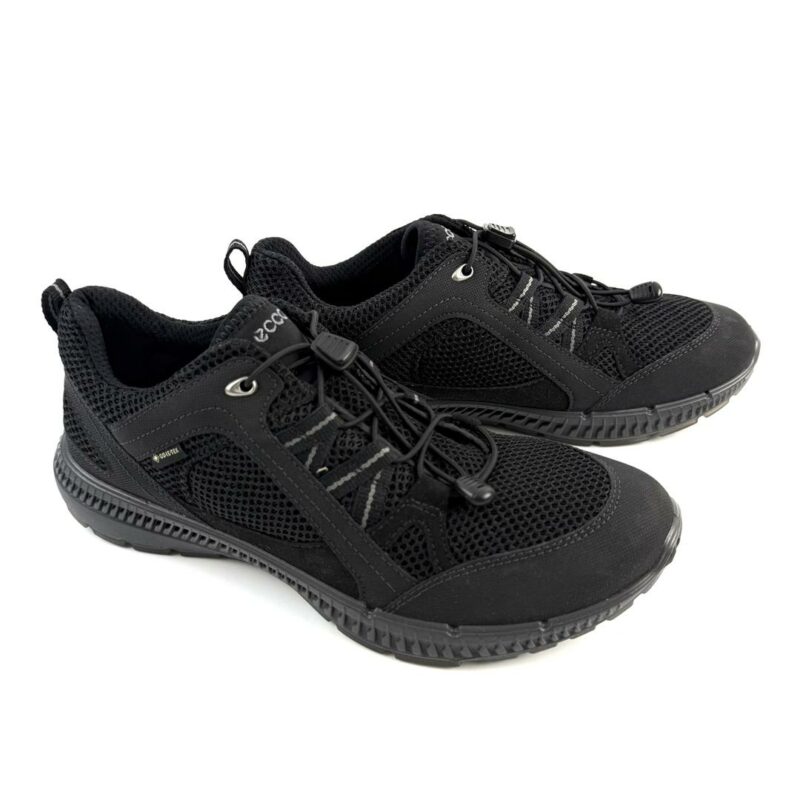 ECCO - Image 2