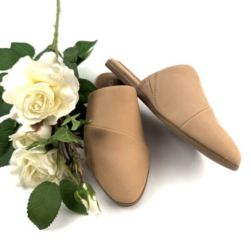 TOMS