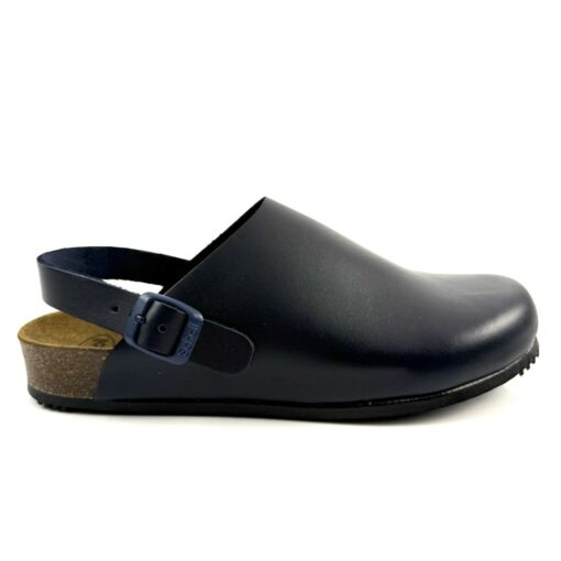 scholl