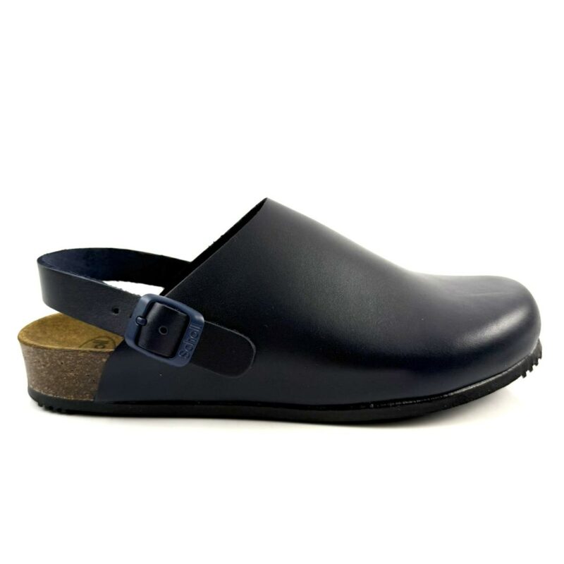 scholl