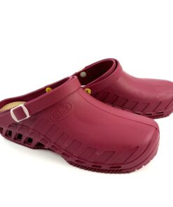Alternative view of SCHOLL CLOG EVO