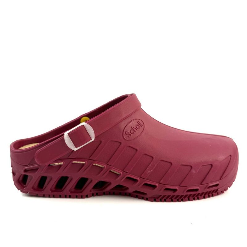 SCHOLL