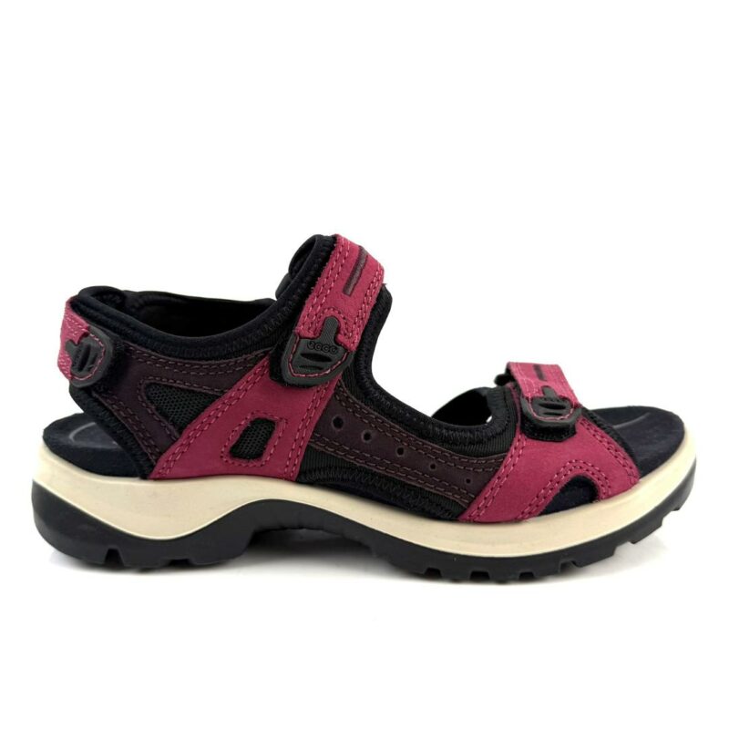 ECCO - Image 4