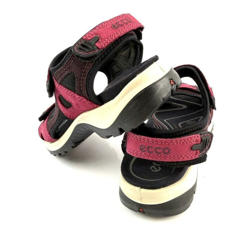 ECCO - Image 5