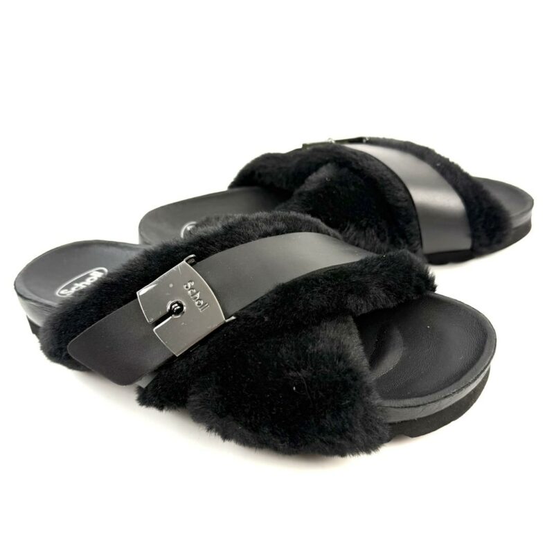 SCHOLL - Image 2