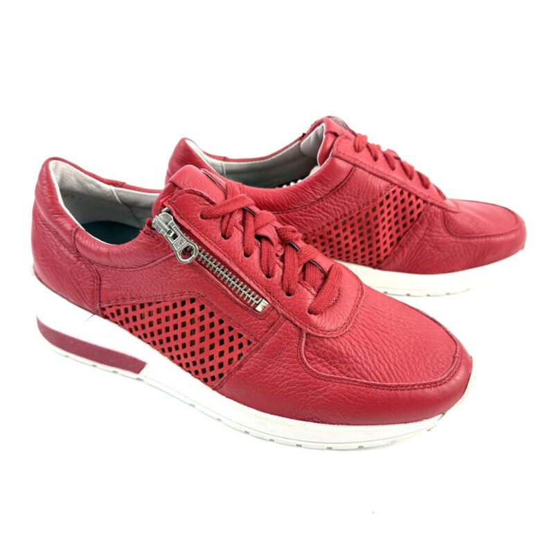 VITAFORM - Image 2