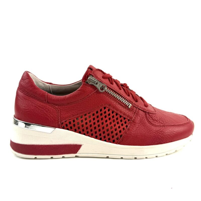 VITAFORM - Image 4