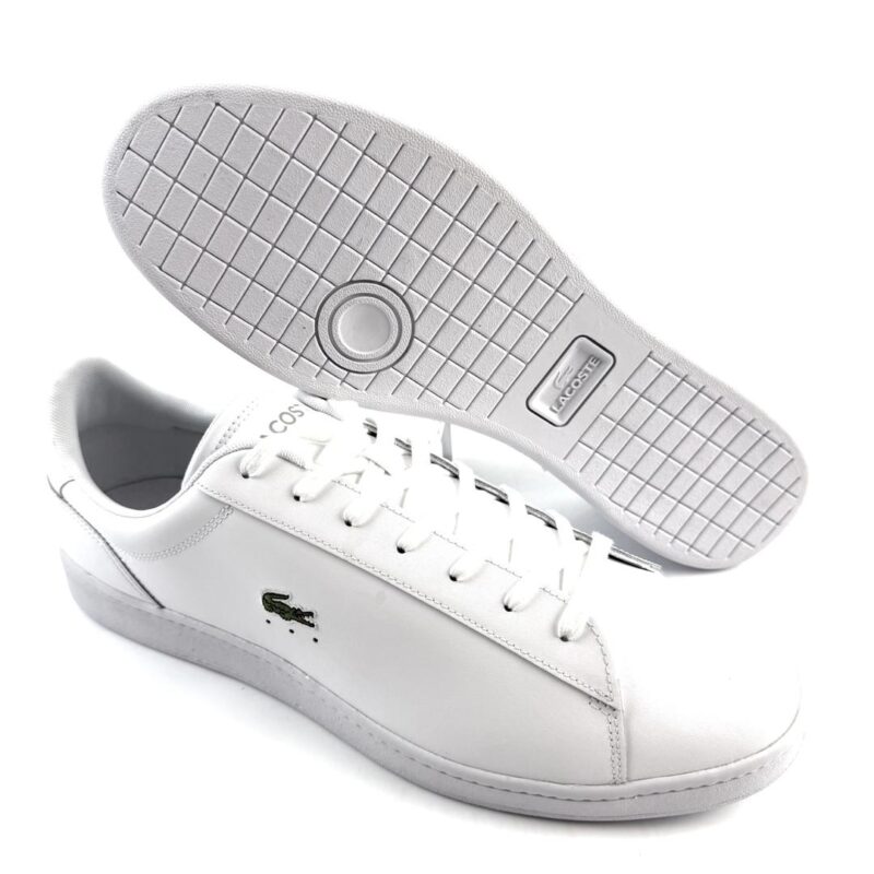 LACOSTE liels izmērs! - Image 3