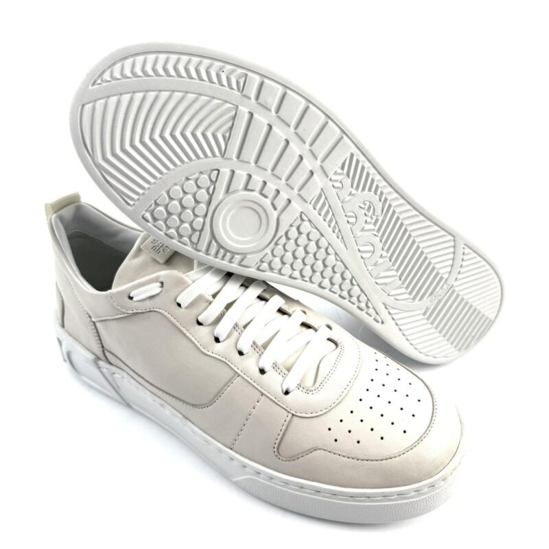 HOGL - Image 3