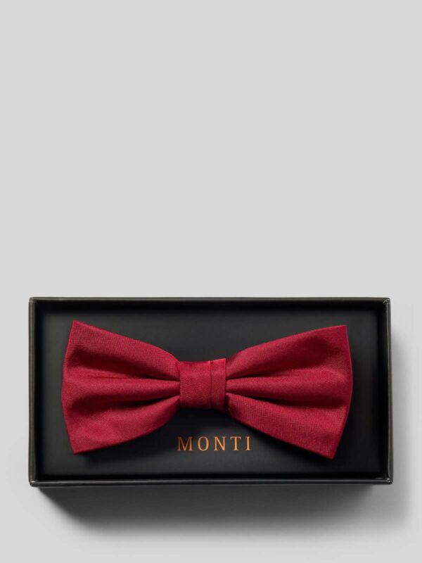 MONTI - Image 2